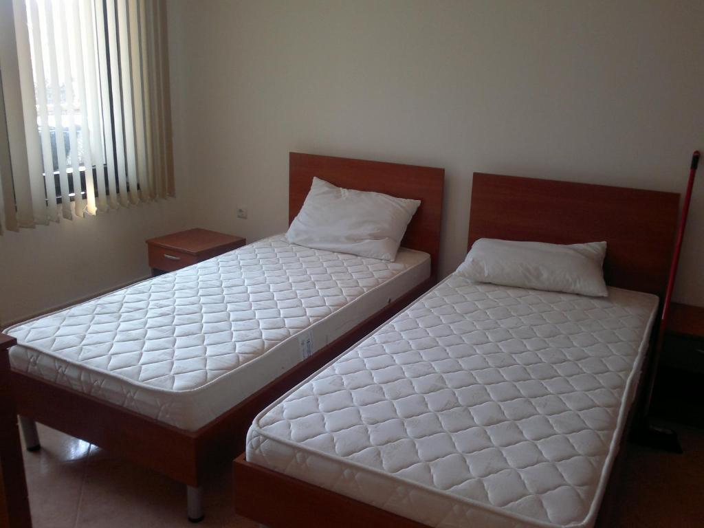 Delfin Apart Complex Sveti Vlas Phòng bức ảnh